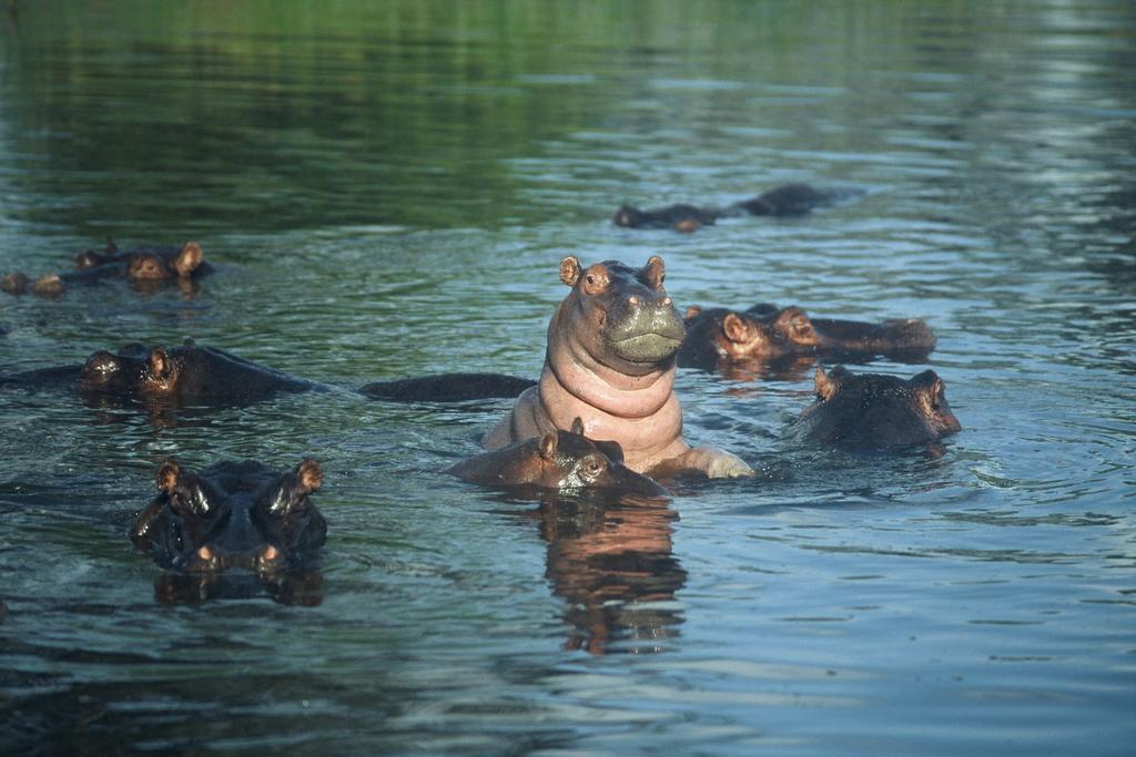 Komati River Chalets Komatipoort Luaran gambar